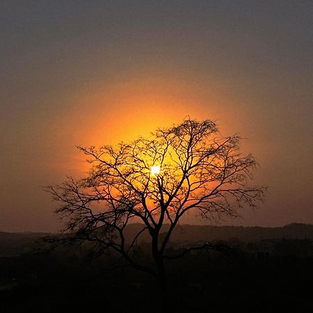 Gir Birding Lodge Sasan Gir Esterno foto