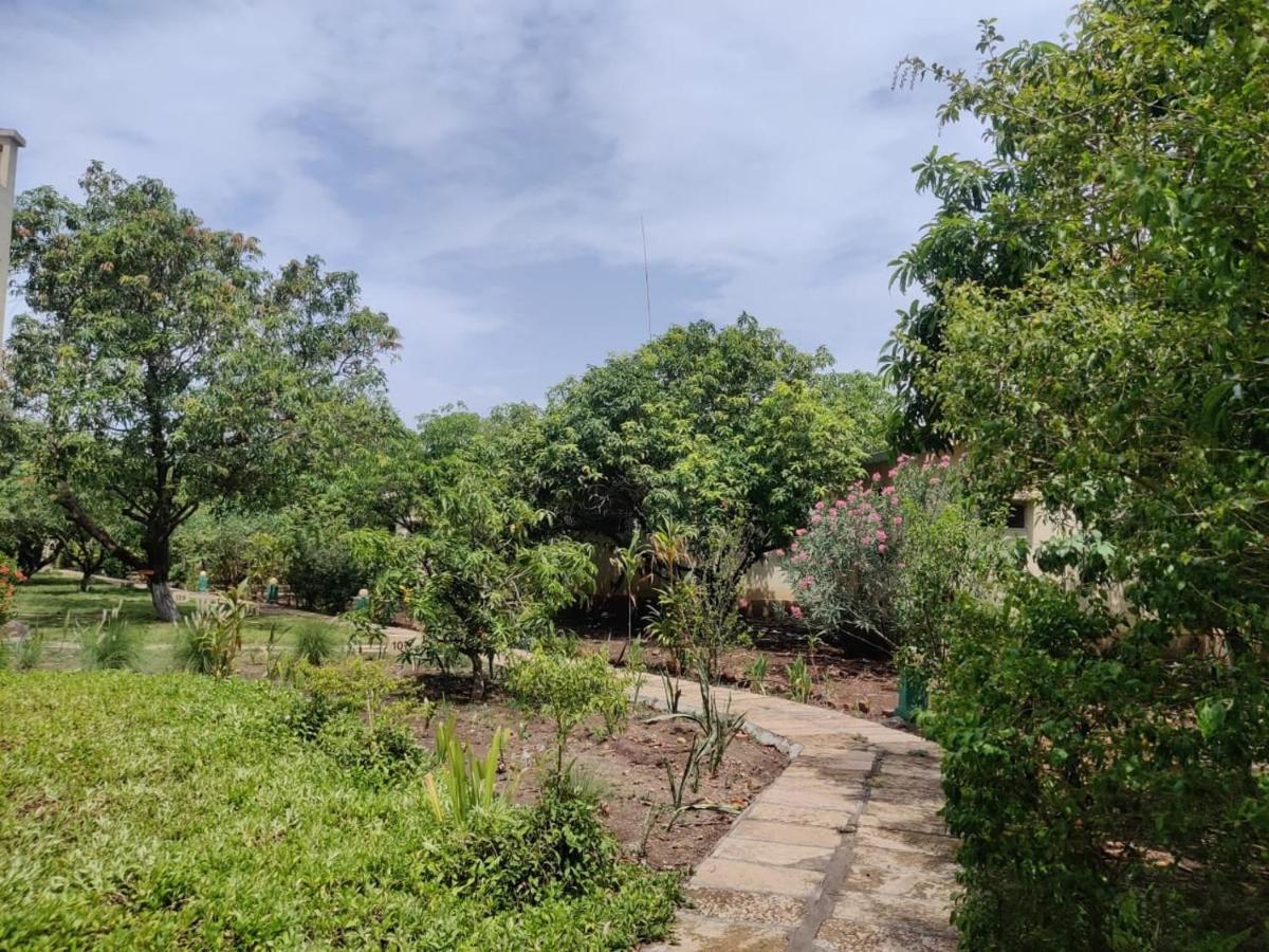 Gir Birding Lodge Sasan Gir Esterno foto