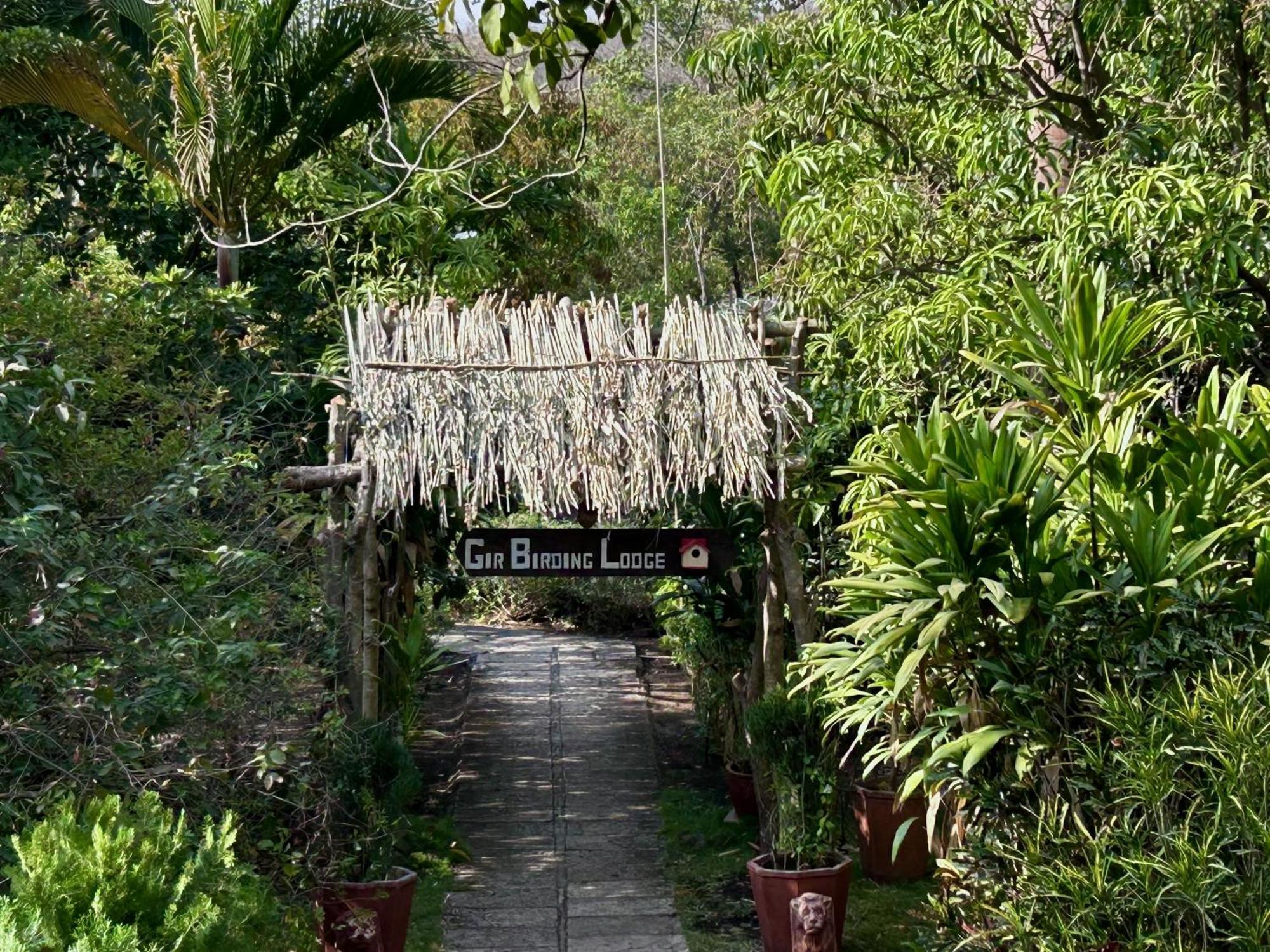 Gir Birding Lodge Sasan Gir Esterno foto