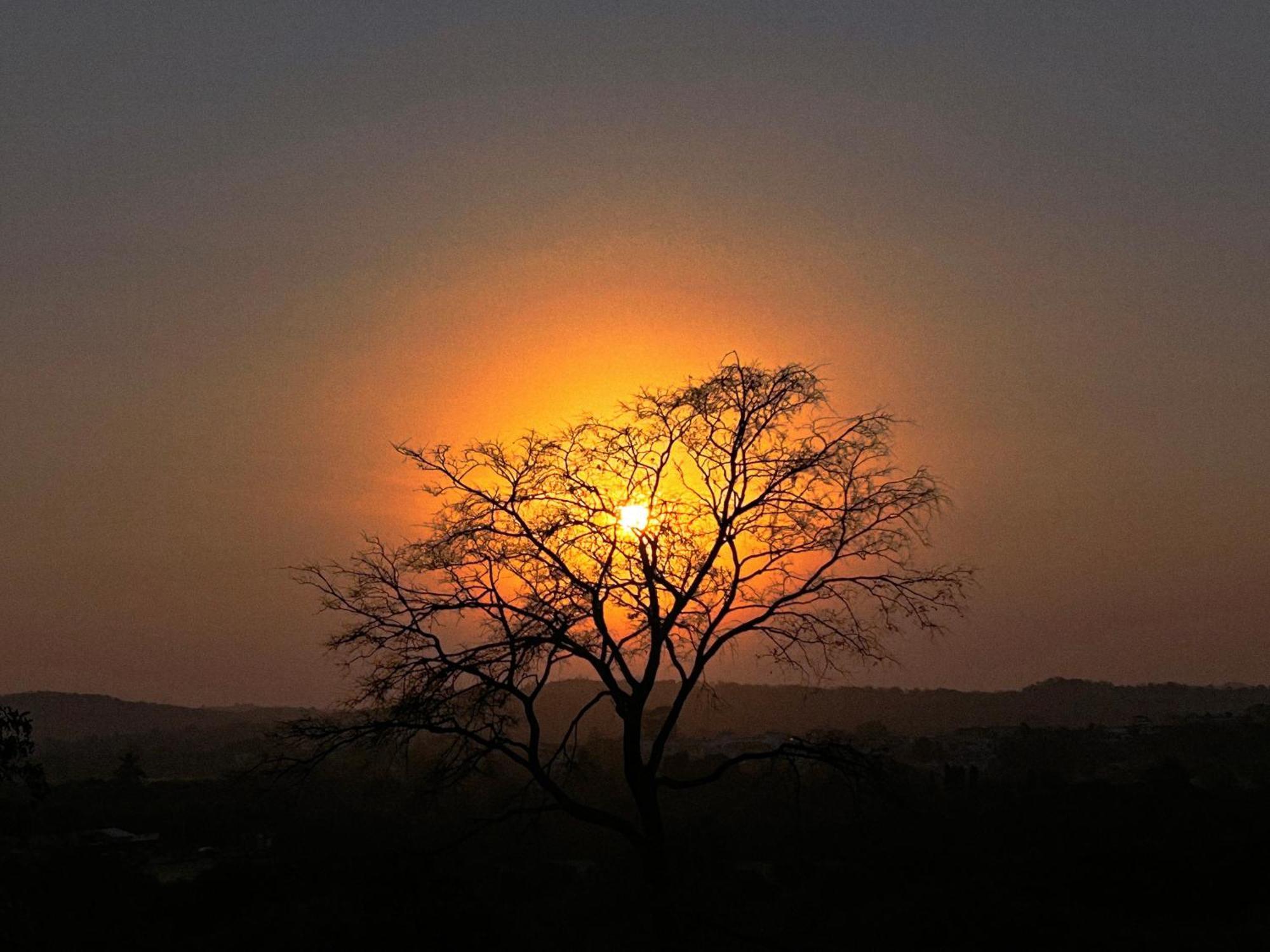 Gir Birding Lodge Sasan Gir Esterno foto